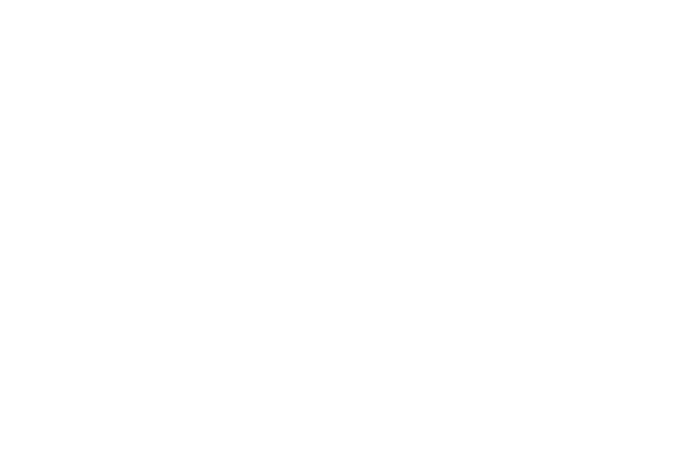 PI